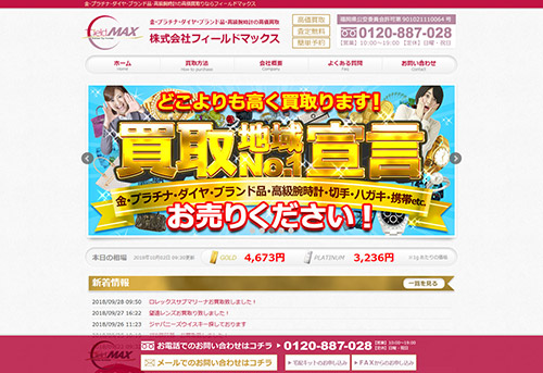 株式会社フィールドマックスWebサイト